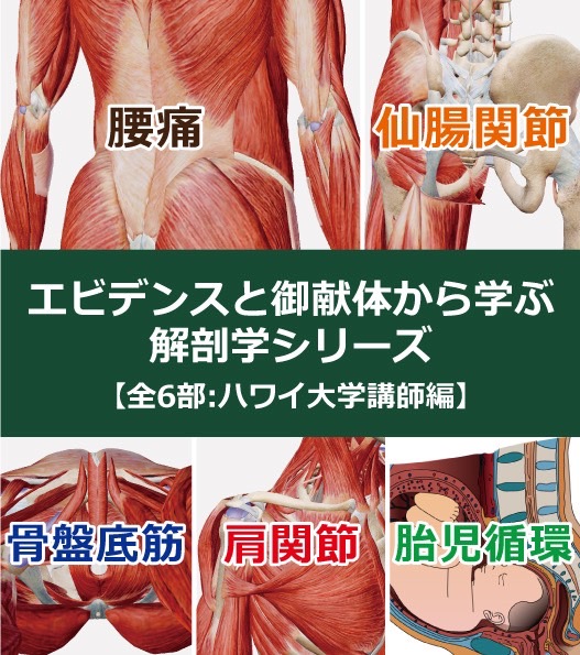 人体解剖実習、腰痛の臨床、骨折の徒手整復法、臨床柔道整復学　4冊 人体解剖実習、腰痛の臨床、骨折の徒手整復法、臨床柔道整復学 4