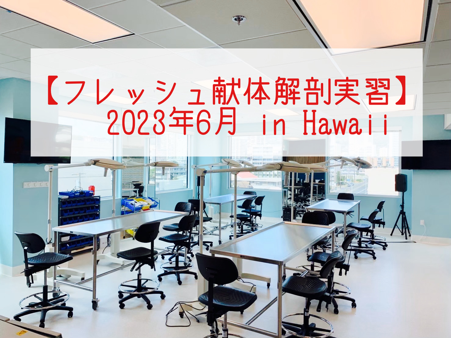 実習解剖学 Amazon.co.jp: 解剖学モデル、体幹胴体解剖学的モデル-人間の