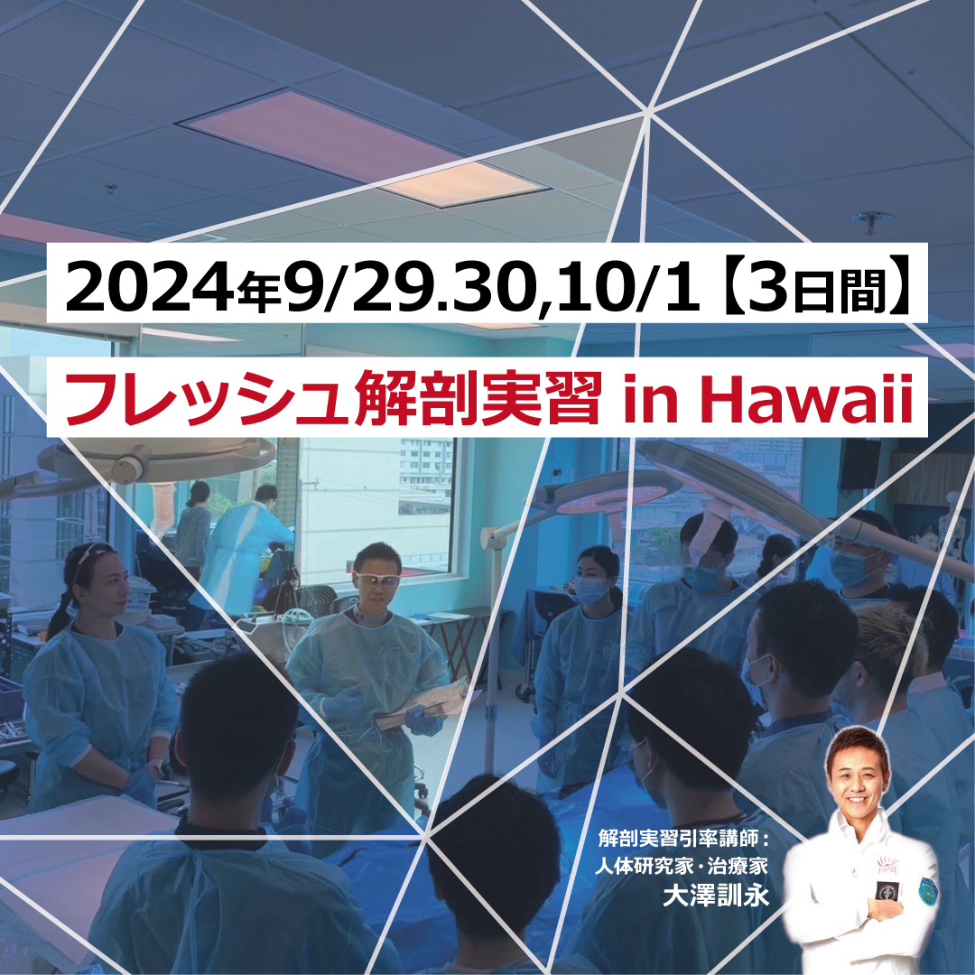 2024年9/29,30-10/1 フレッシュ献体解剖実習 3日間開催 観察コース残3