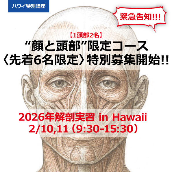 緊急企画【2026年2/10,11 フレッシュ献体解剖「顔と脳」コース 】6名限定