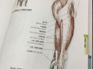 FullSizeRender大腿部_640