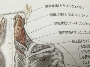 kenkouokyokin_14_1220